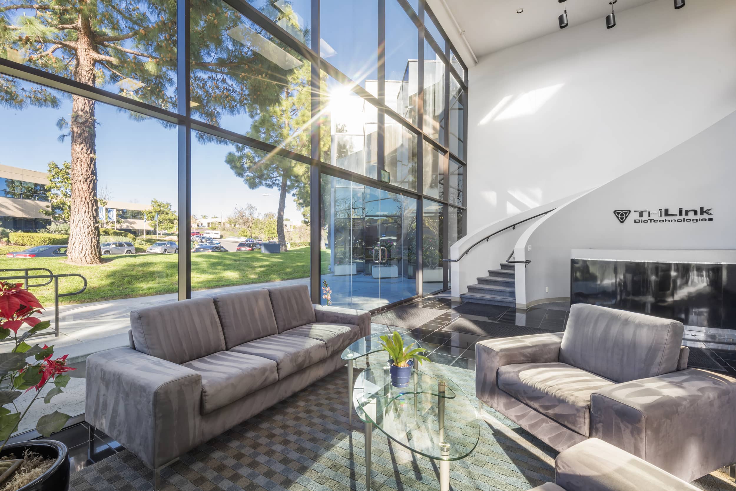 GMP Manufacturing Facility