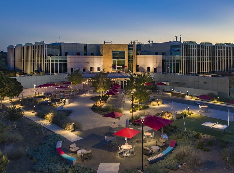 Johnson & Johnson Pharmaceuticals