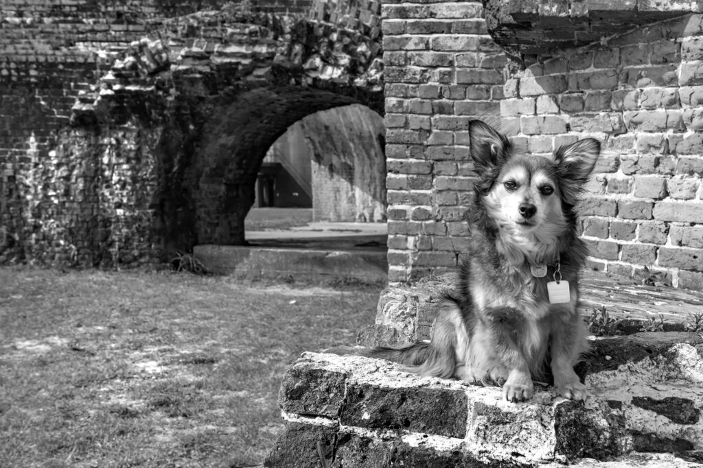 Fort Pickens Kenji 1 bw