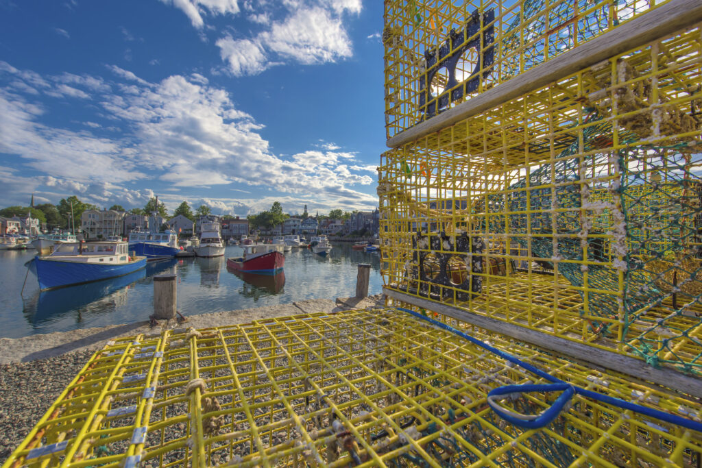 Bear Skin Neck Lobster Traps