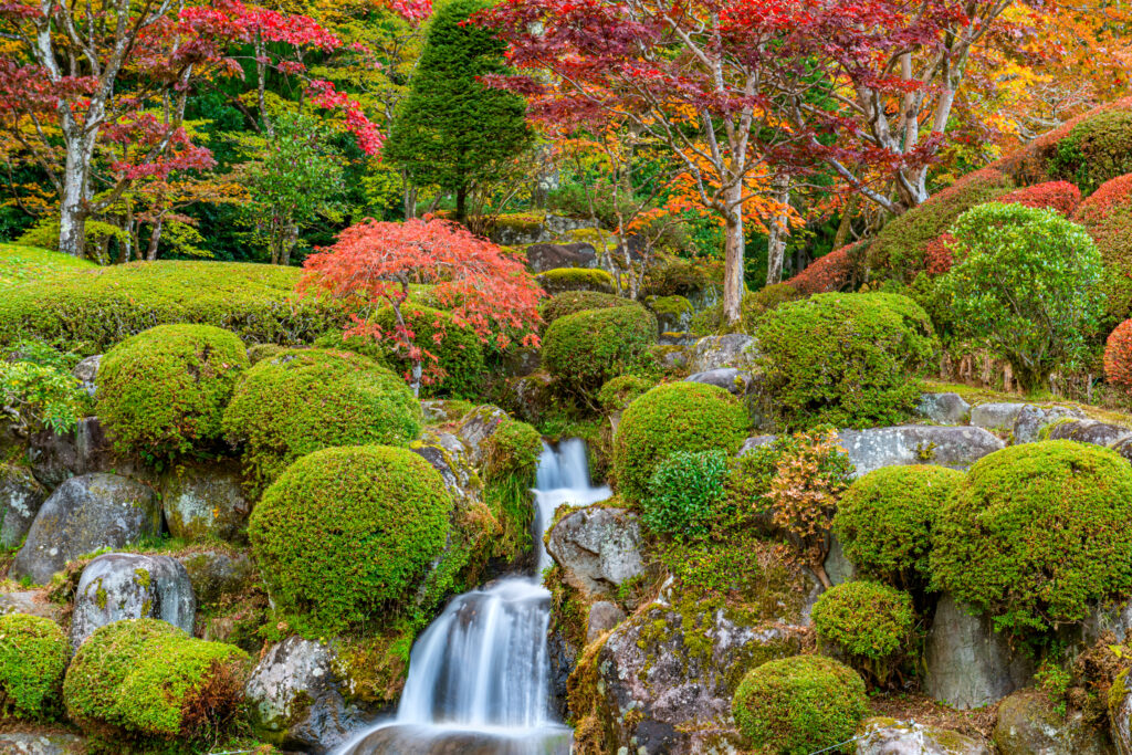 Japanese Gardens