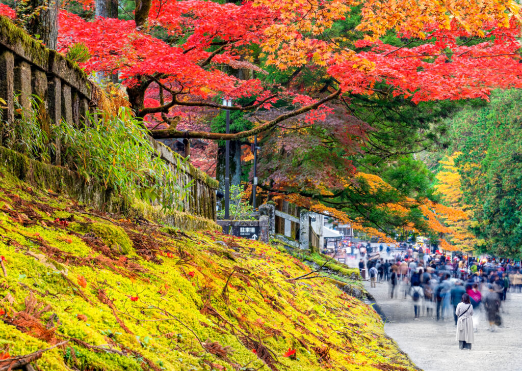 Japan Gardens