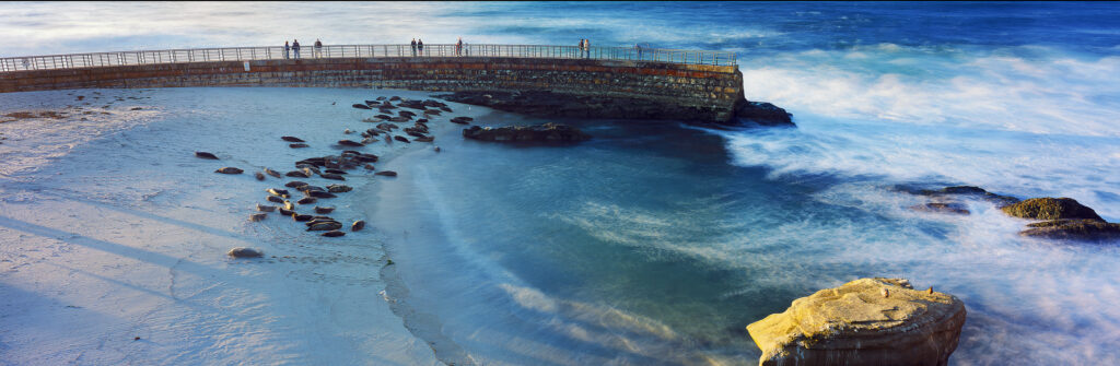 La Jolla Children’s Pool