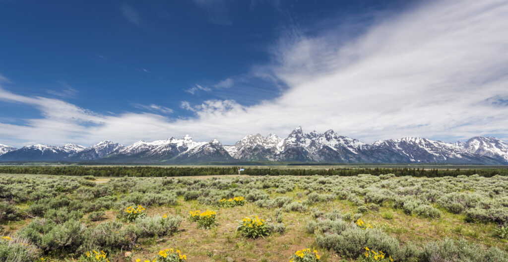 Springhill Suites Jackson Hole