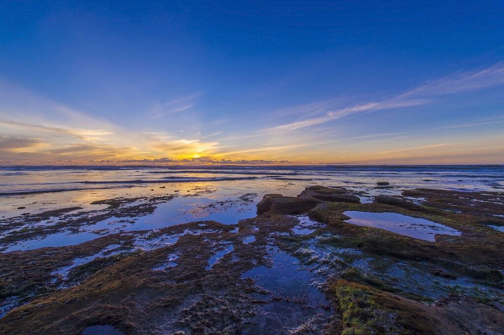 Tide Pools Pt Loma